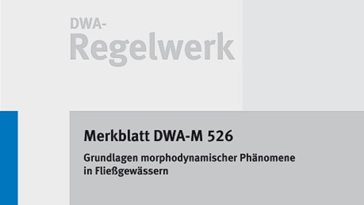 Morphodynamische Phänomene