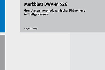 Morphodynamische Phänomene