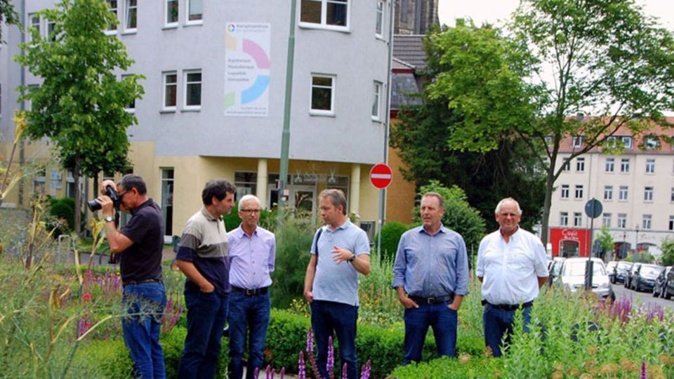Experimentelle Staudenpflanzungen