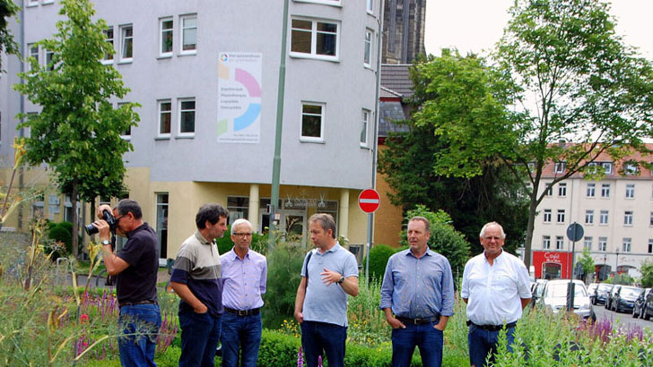 Experimentelle Staudenpflanzungen