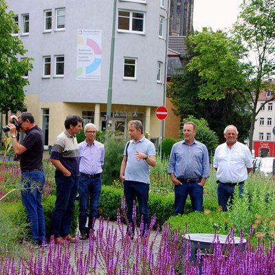 Experimentelle Staudenpflanzungen