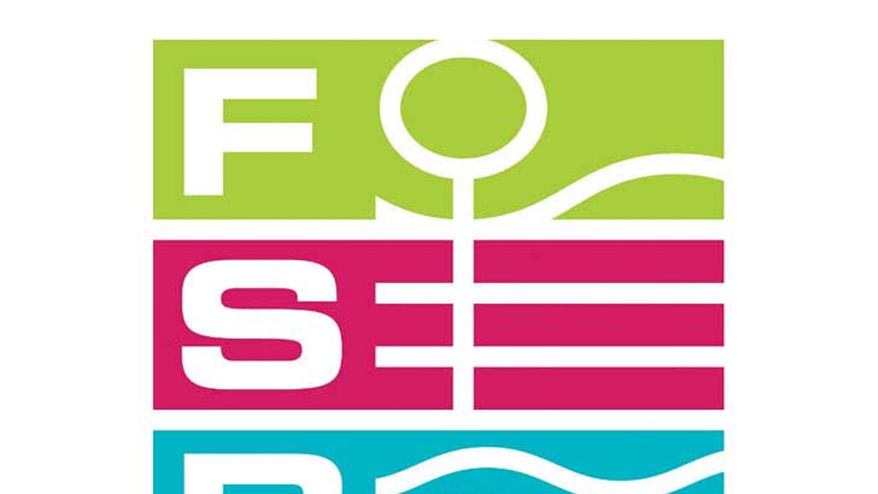 FSB Logo
