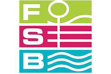 FSB Logo
