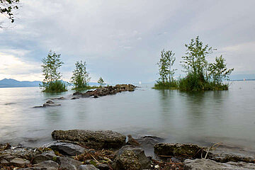 Image-19091