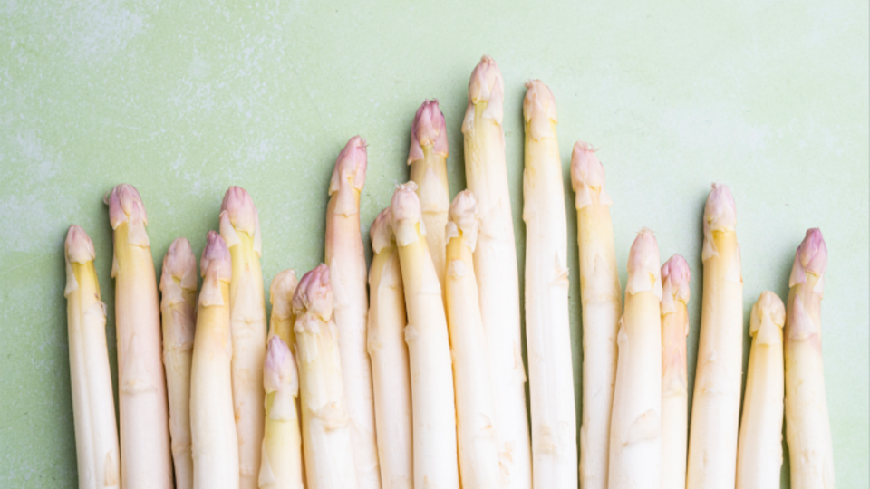 Spargel