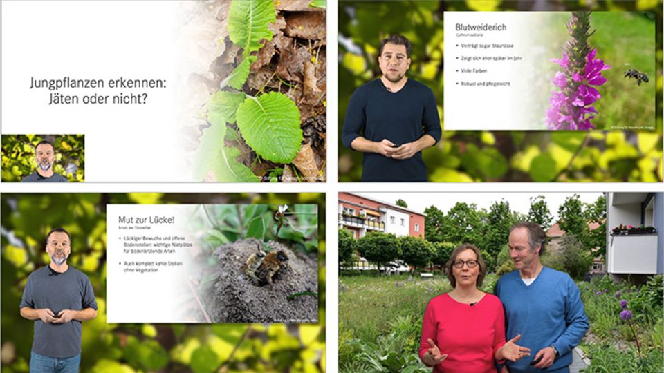 Online-Schulung