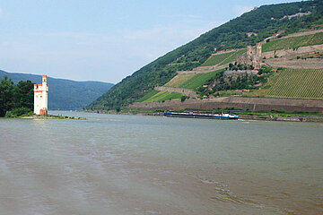 oberes Mittelrheintal