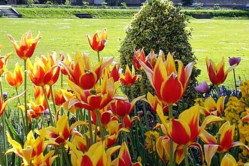 Schlossgarten von Bruchsal