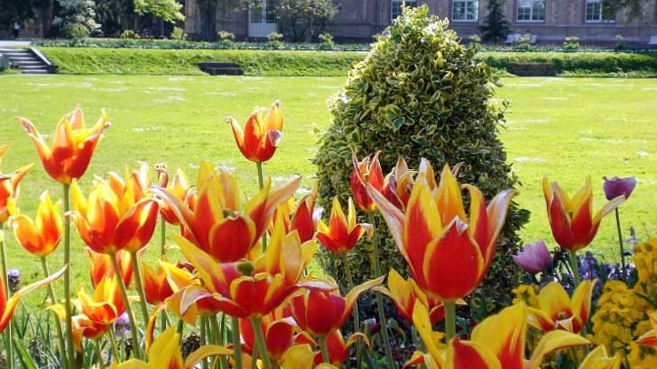 Schlossgarten von Bruchsal