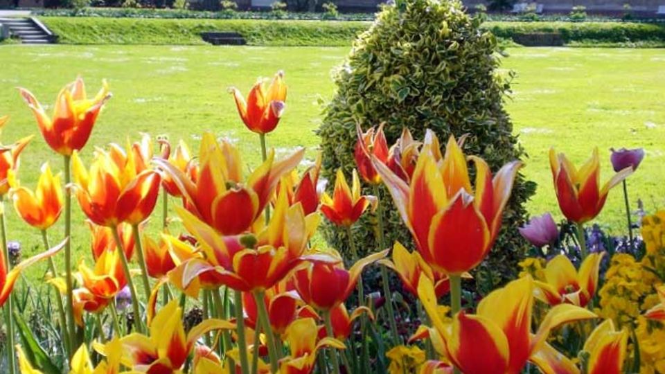 Schlossgarten von Bruchsal