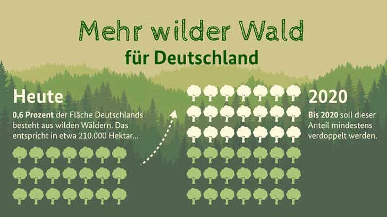 Naturschutz und Forstwirtschaft