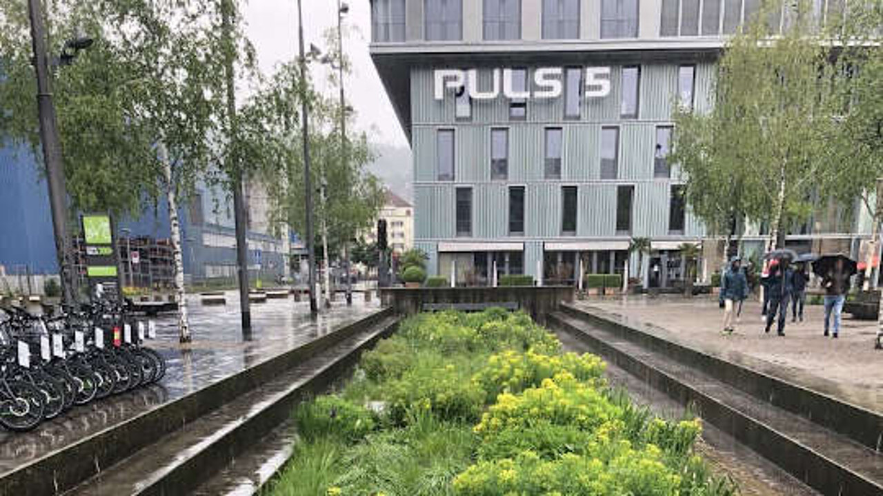 Versickerungsmulden