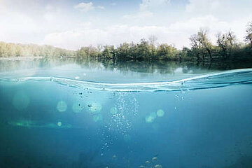 Image-13384