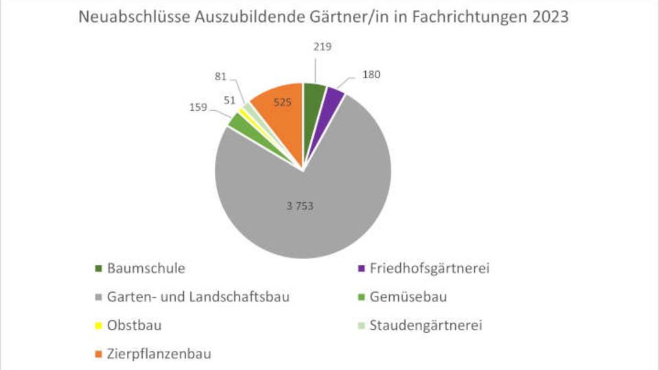 Neuabschlüsse Ausbildungsverträge