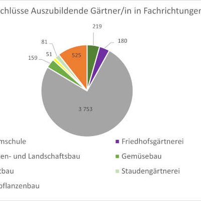 Neuabschlüsse Ausbildungsverträge