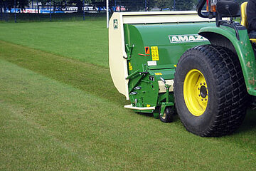 Amazone Grasshopper