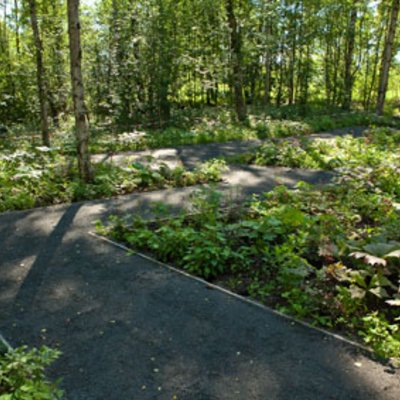 Landesgartenschau