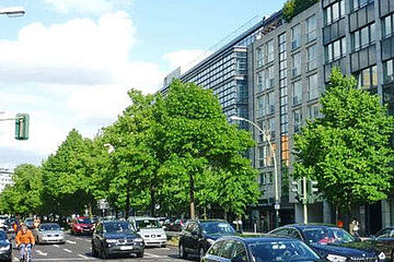 Straßenbäume