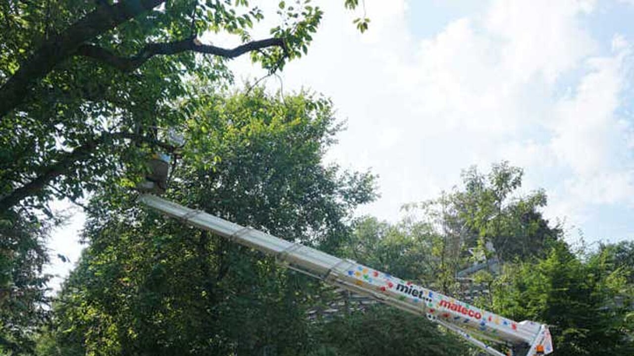 im Zoo Neukirchen