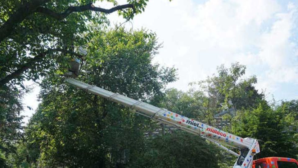 im Zoo Neukirchen