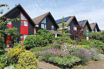 Image-14273