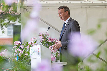 Image-16441
