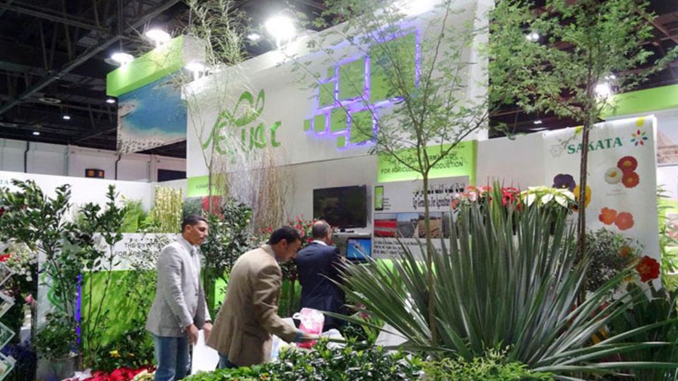 IPM DUBAI