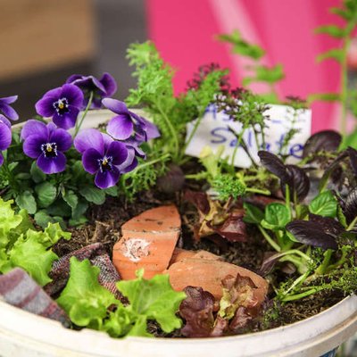 Urban Gardening