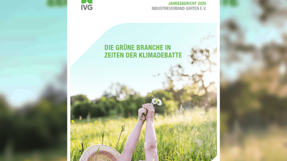 Jahresbericht