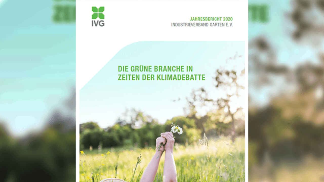 Jahresbericht