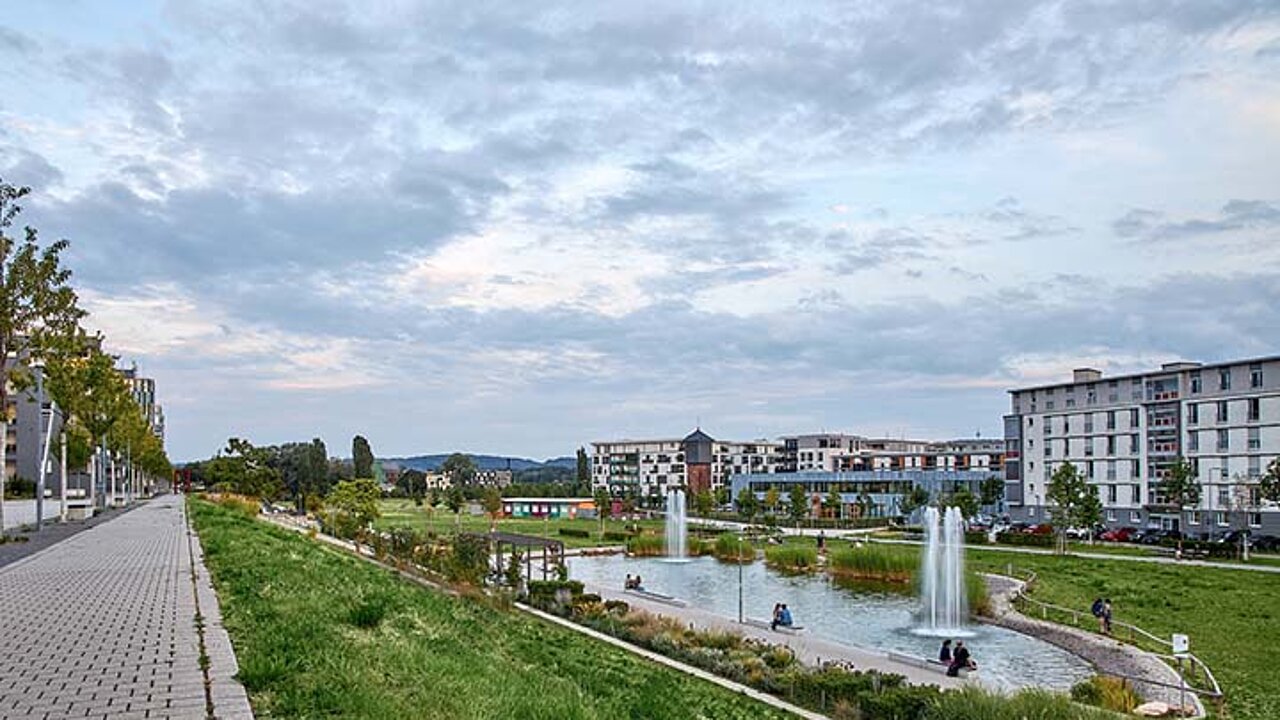 Grün im Fokus