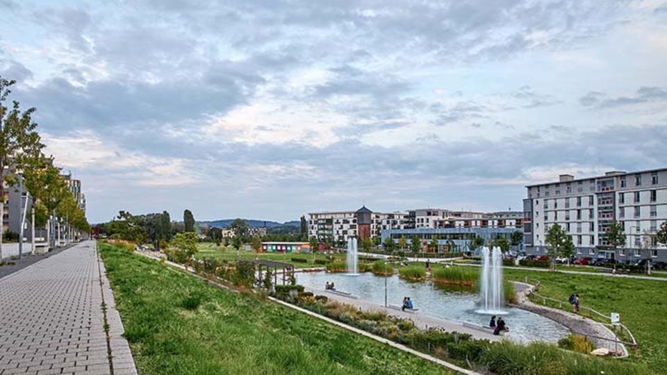 Grün im Fokus