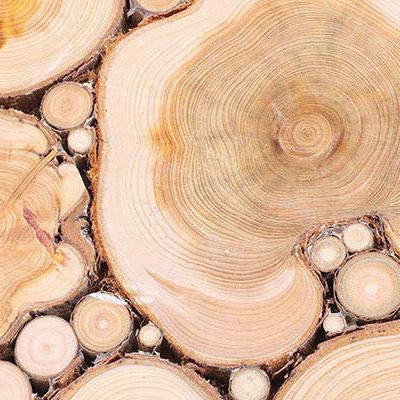 Holz