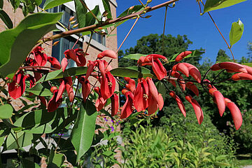 Image-14801