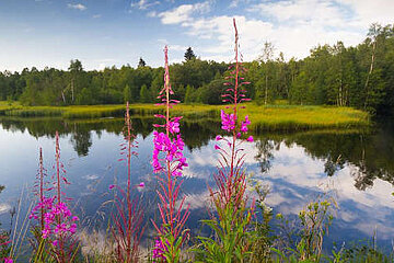 Image-14740