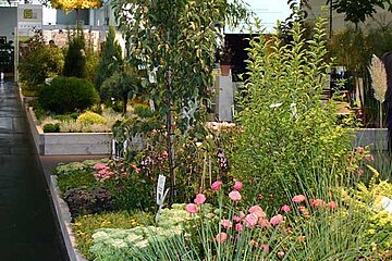 Plantregio Produkte