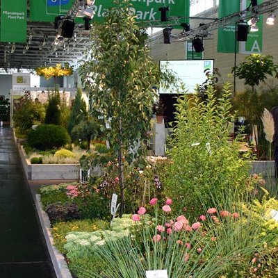 Plantregio Produkte