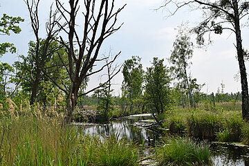 Das Oderhaff