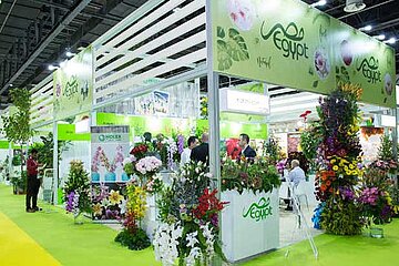 IPM DUBAI