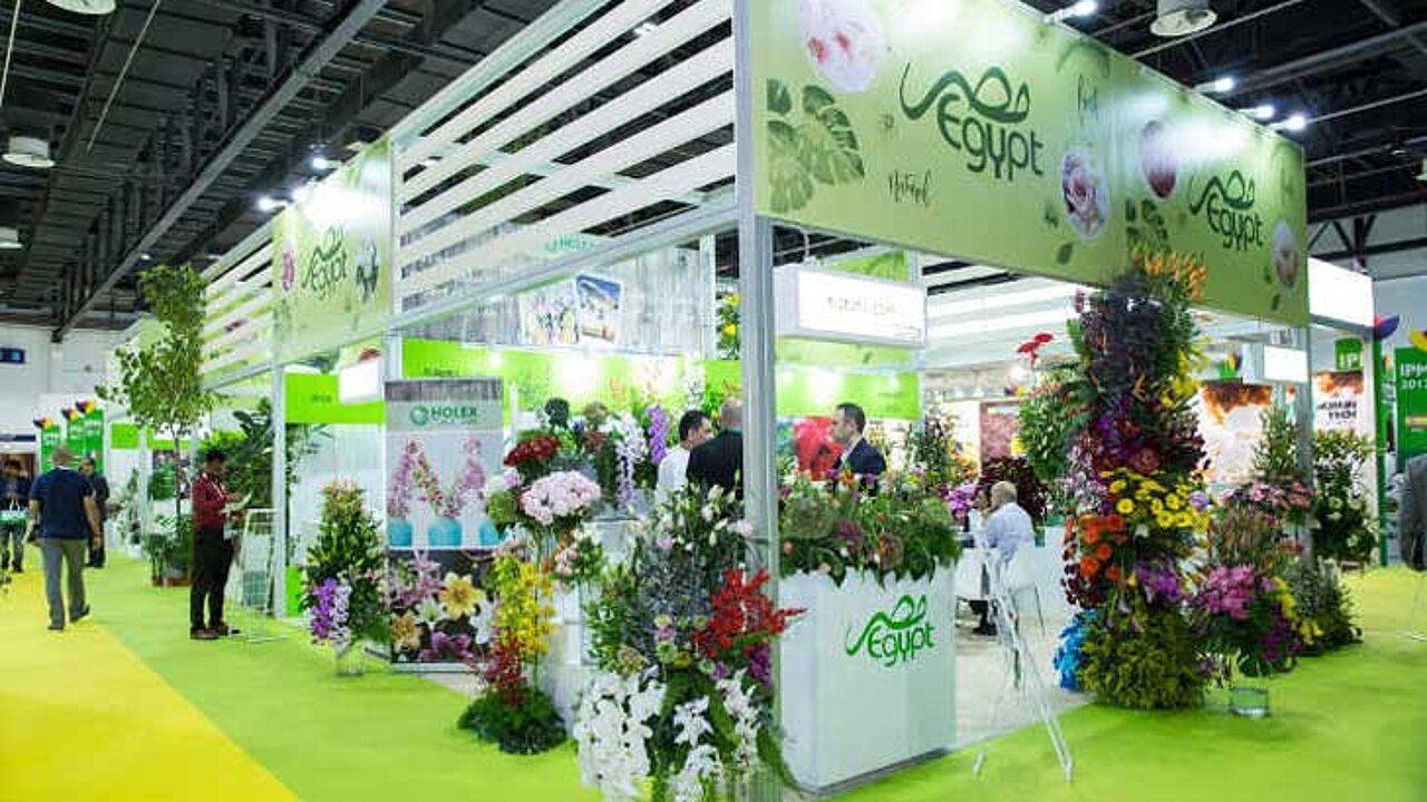 IPM DUBAI