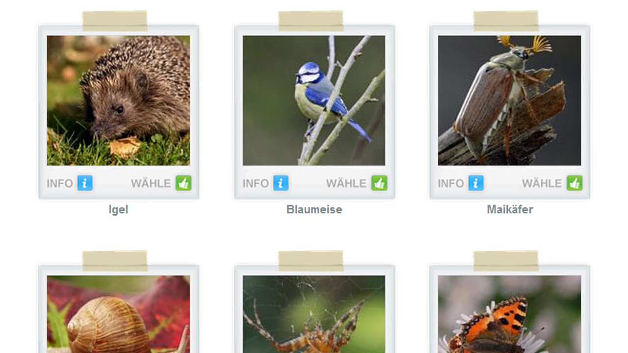 beliebteste Gartentier 2014
