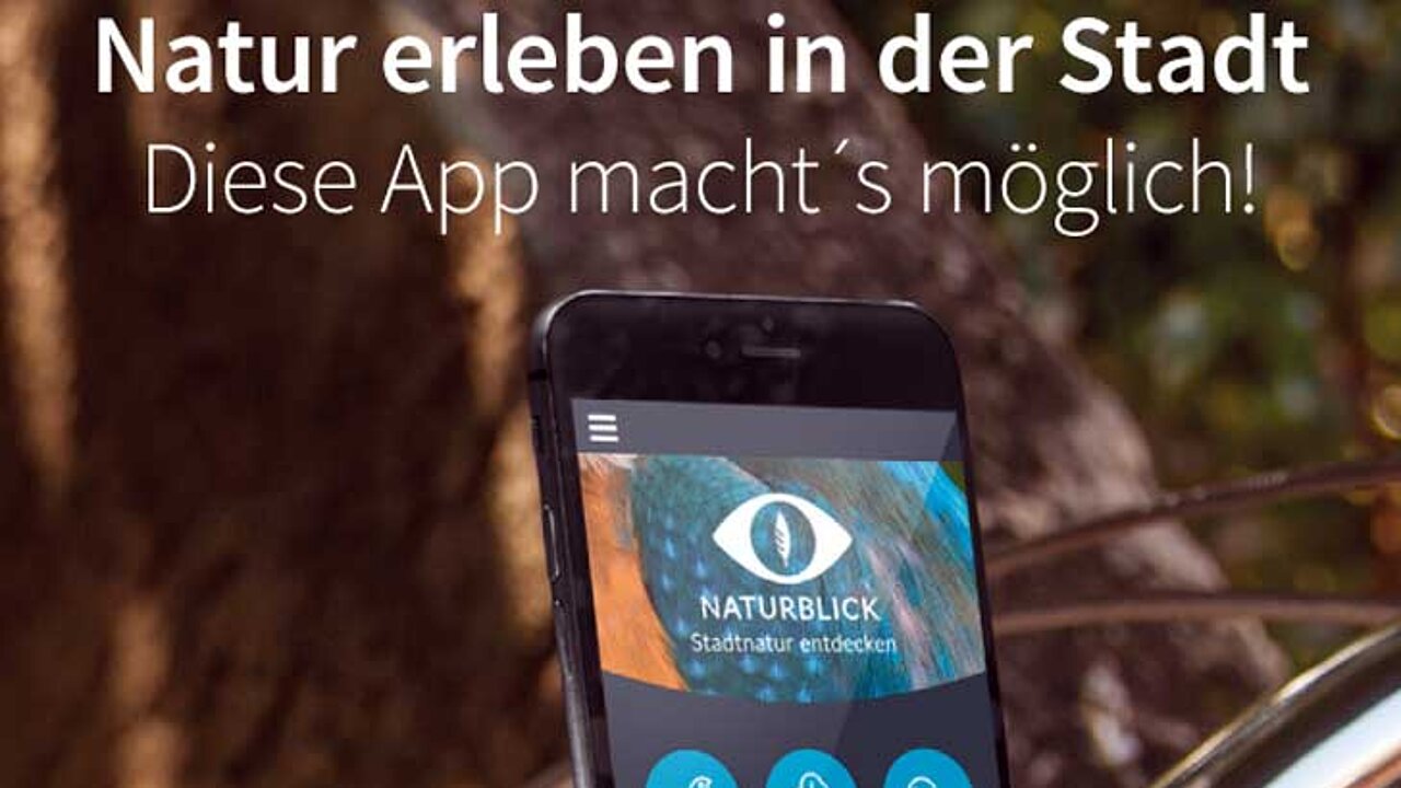Handy-App