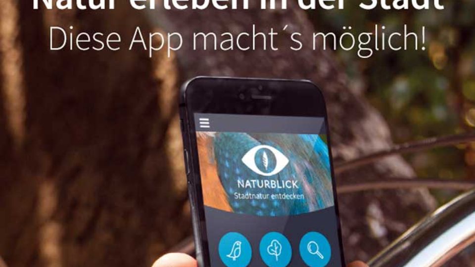 Handy-App