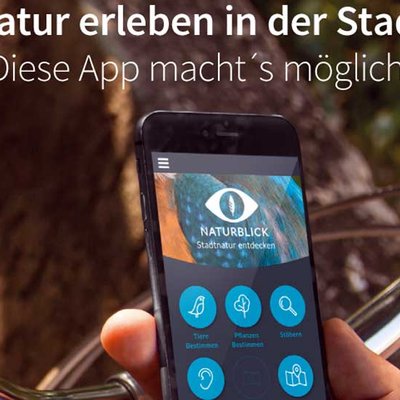 Handy-App