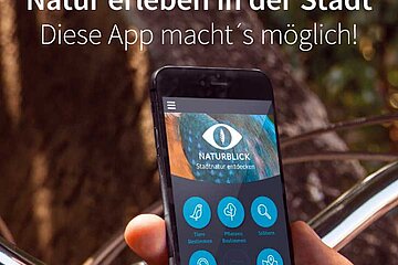Handy-App