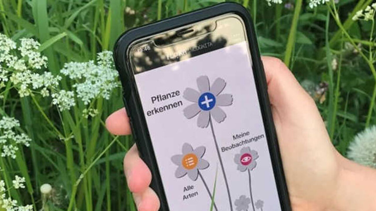 Pflanzenbestimmung per Smartphone