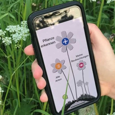 Pflanzenbestimmung per Smartphone