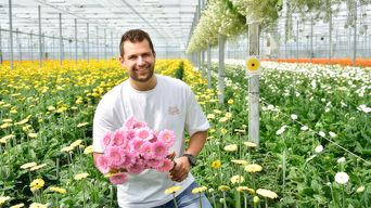 Gijsbert Verboom - Gerbera United
