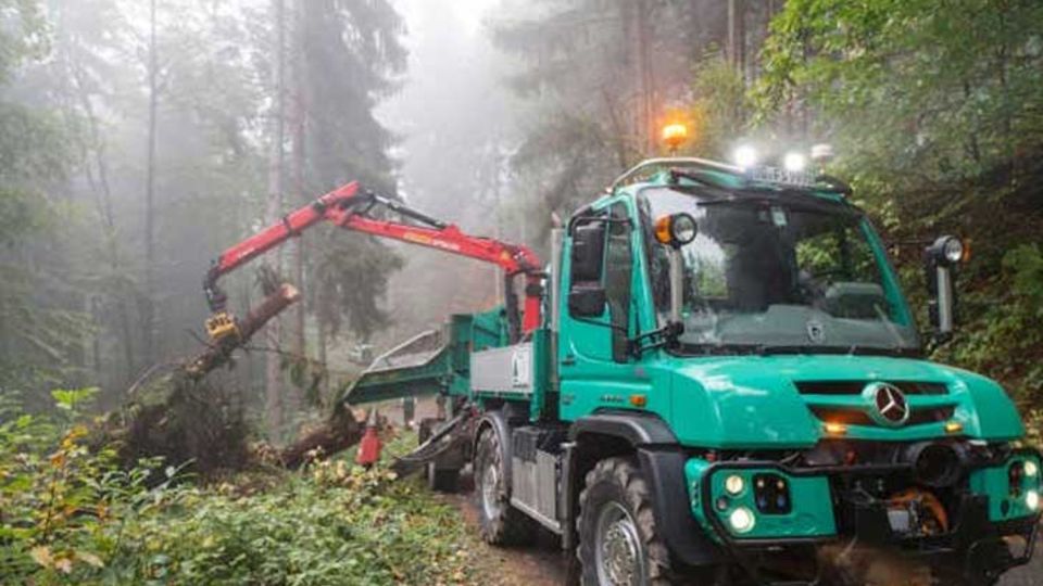 Forst-Unimog