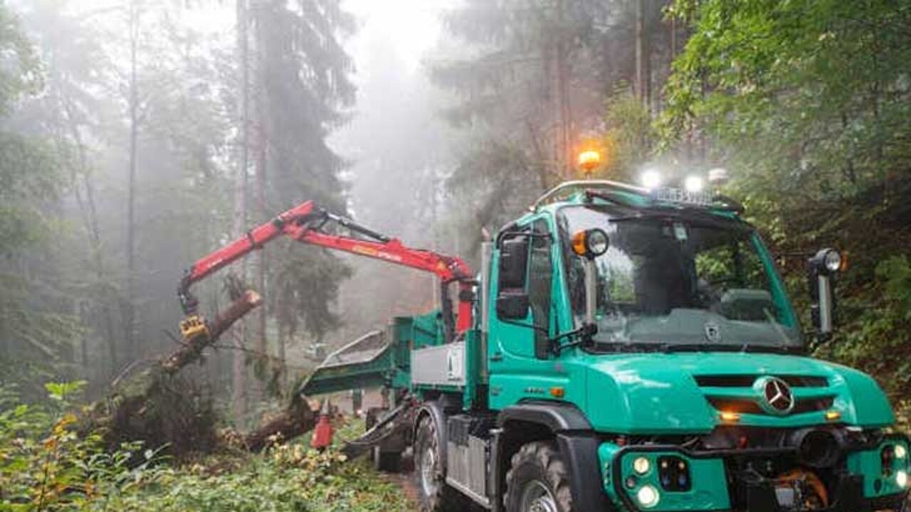 Forst-Unimog